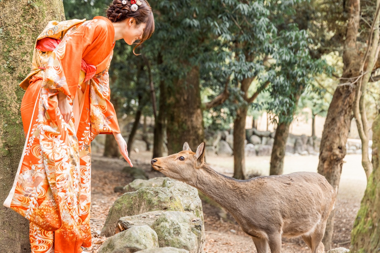 photo tour in nara03