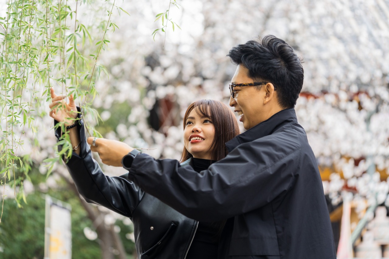 Asakusa spring portrait - couple under blossoms and willow, candid moment