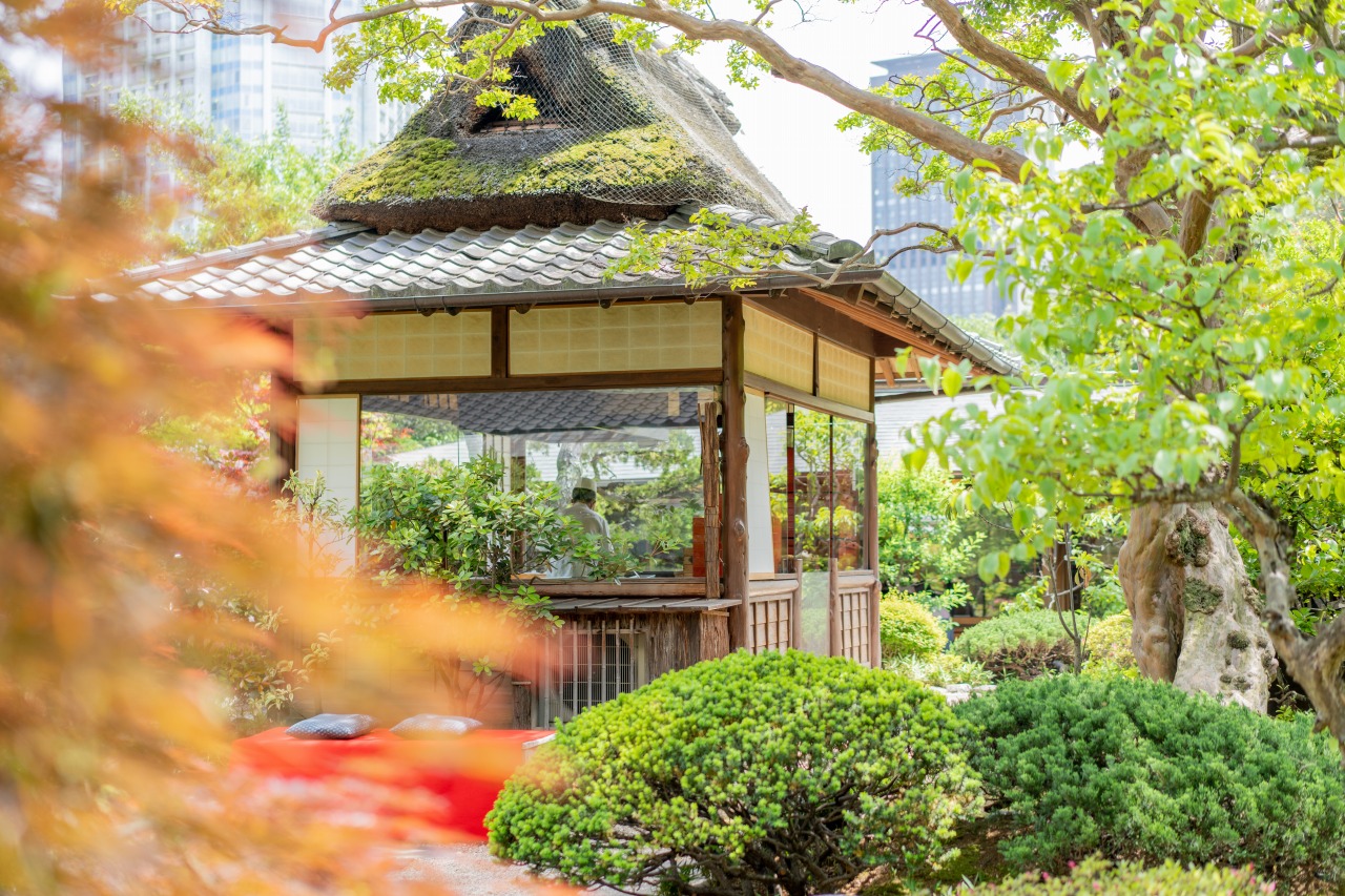 とうふ屋うかい写真(庭)
