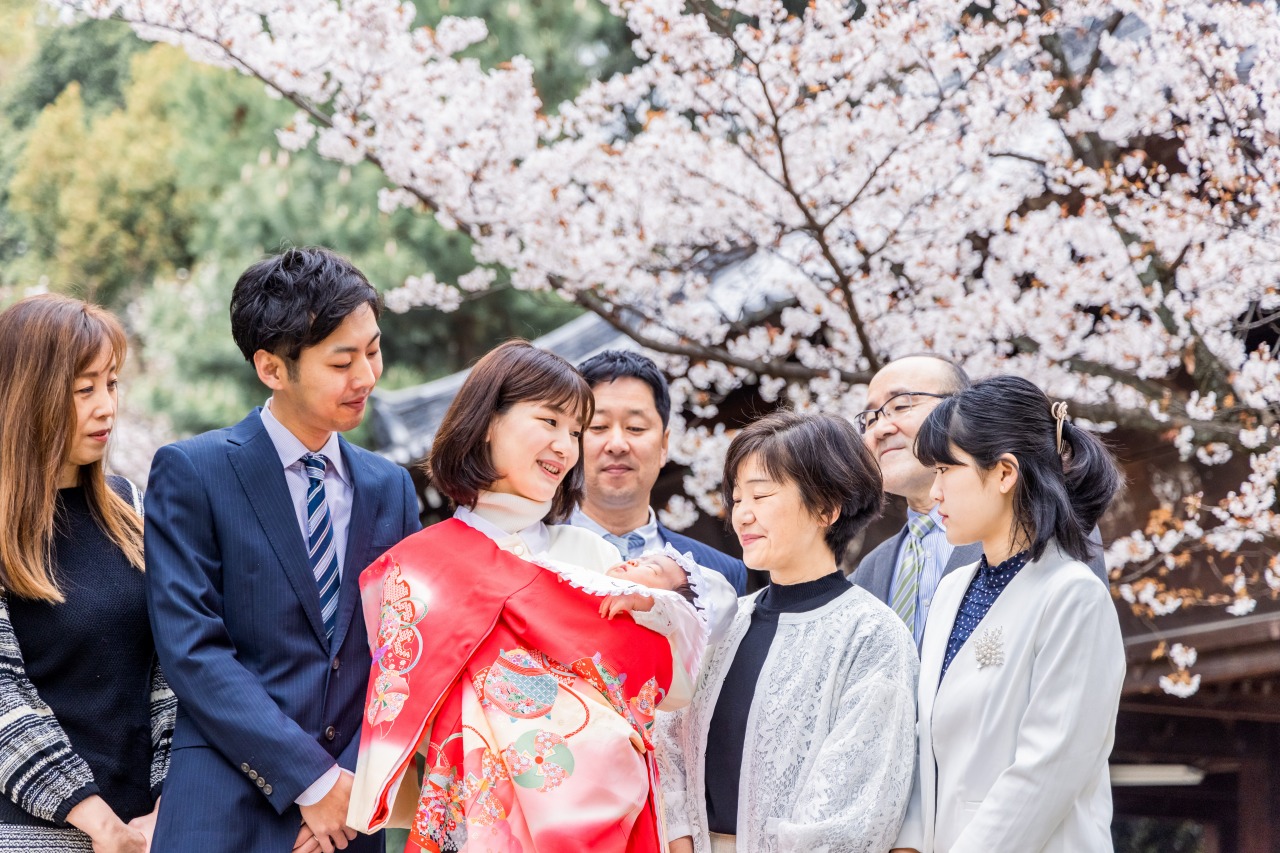 京都での桜フォト出張撮影について紹介！【2024年3月更新】 - YUNAGI FILMS